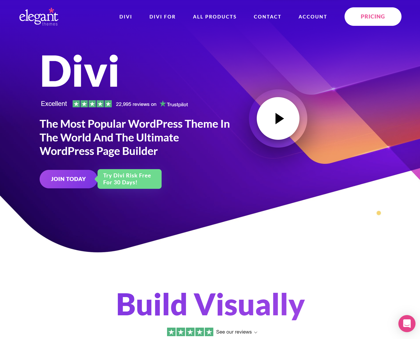 Divi Theme